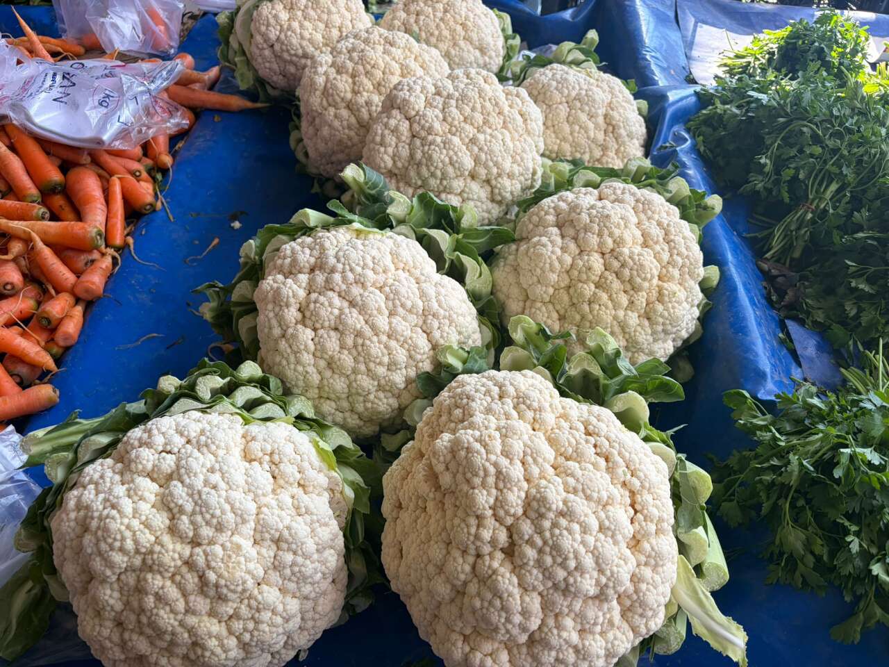 Menteşe Perşembe Pazarında Fiyatlar Cep Yakıyor: Sarımsak 350 TL ile Zirvede 7